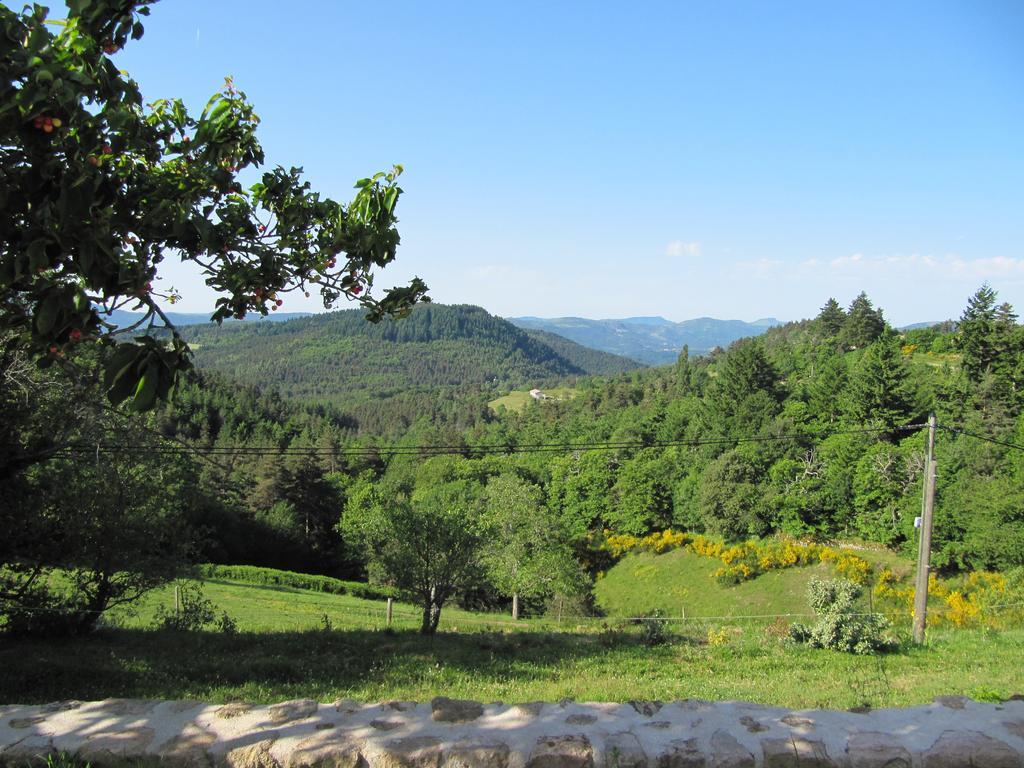 Le Petit Rias Gite Soleil Saint Maurice en Chalencon Экстерьер фото