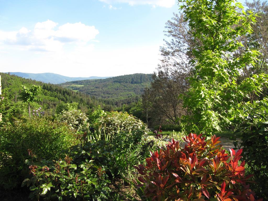Le Petit Rias Gite Soleil Saint Maurice en Chalencon Экстерьер фото